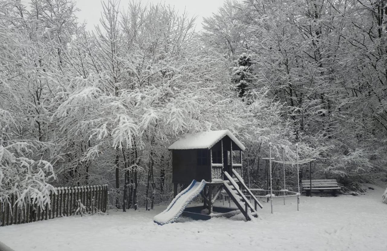 Leśniczówka WIEŻYCA i Domki Szymbark  Exterior foto