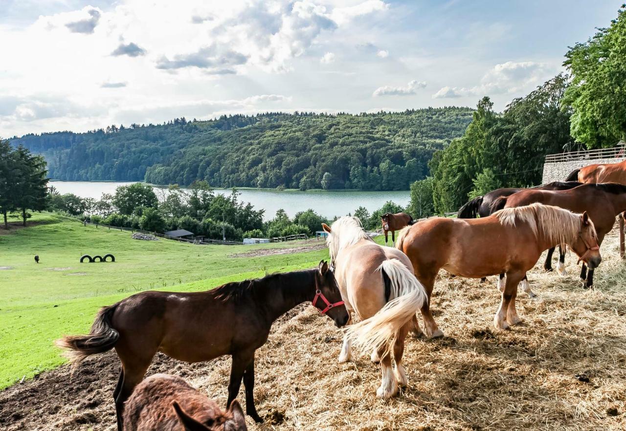 Leśniczówka WIEŻYCA i Domki Szymbark  Exterior foto